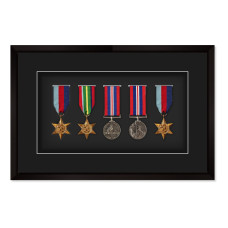 6 medal frame  - Normal